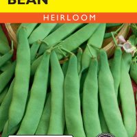 Bean (Bush) Roma II Italian Flat Pod