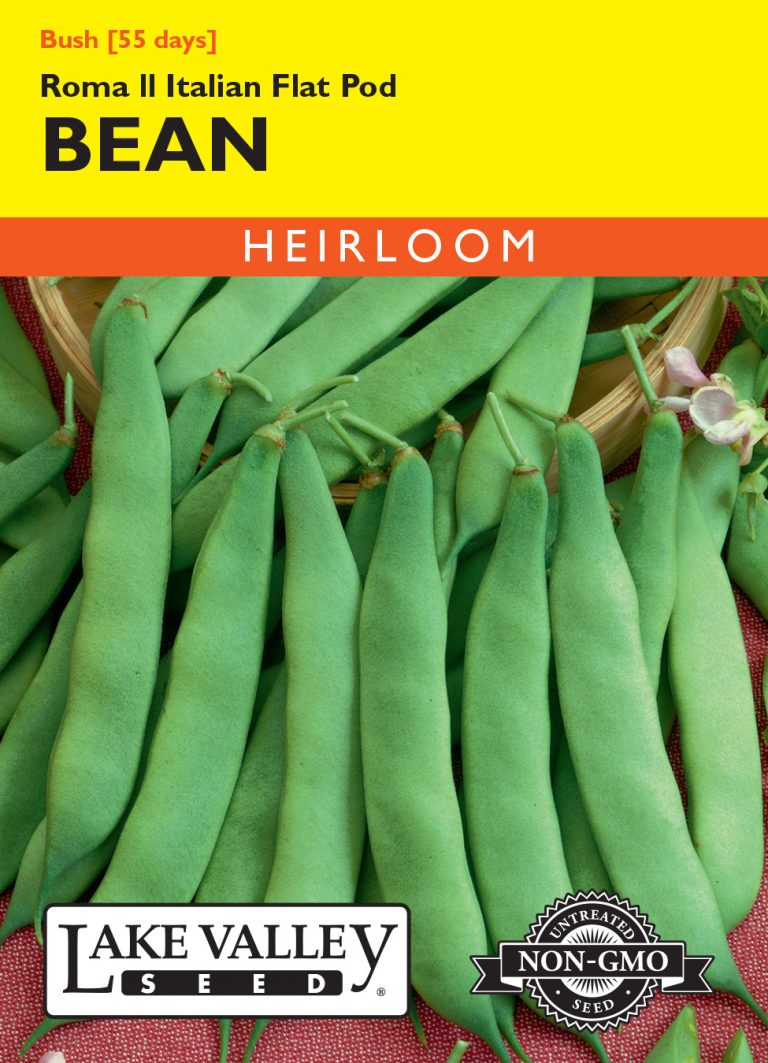 Bean (Bush) Roma II Italian Flat Pod Item 513 Lake Valley Seed