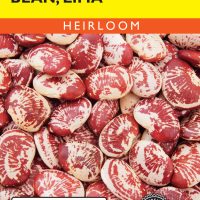Bean Lima Christmas Speckled