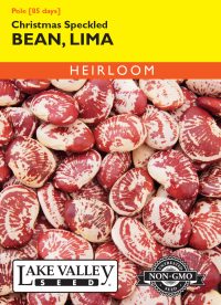 Bean Lima Christmas Speckled