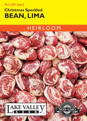Bean Lima Christmas Speckled