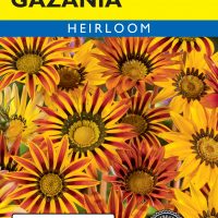Gazania Sunshine Mixed Colors