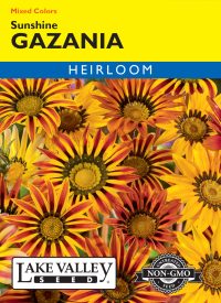 Gazania Sunshine Mixed Colors