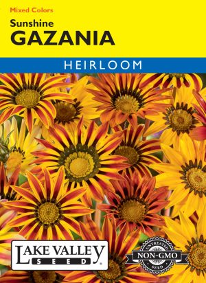 Gazania Sunshine Mixed Colors