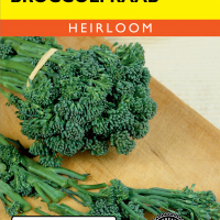 Broccoli Raab Spring Rapini