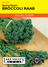 Broccoli Raab Spring Rapini