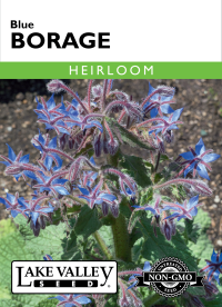 Borage Blue