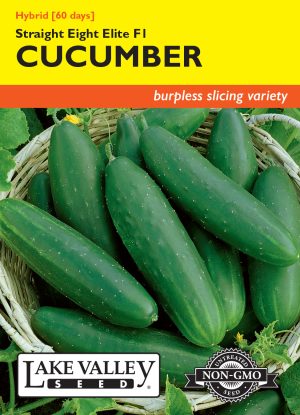 Cucumber Straight Eight Elite