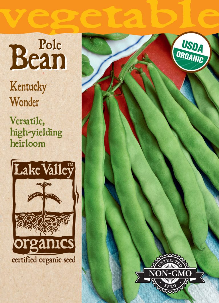 Bean (Pole) Kentucky Wonder Item 556 Lake Valley Seed