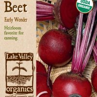 Beet Early Wonder