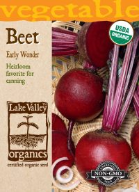 Beet Early Wonder