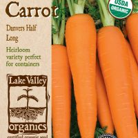 Carrot Danvers Half Long