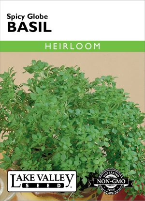 Basil Spicy Globe - Item #569