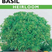 Basil Spicy Globe