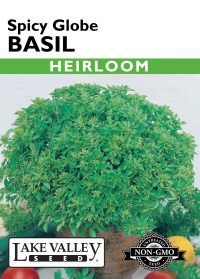 Basil Spicy Globe