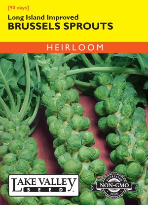 Brussels Sprouts Long Island Improved