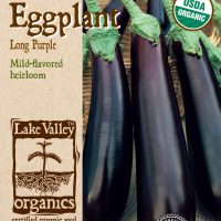 Eggplant Long Purple