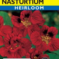Nasturtium Tip Top Mahogany