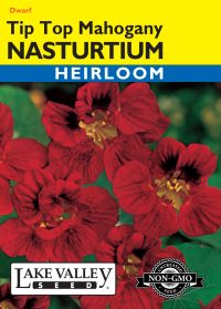 Nasturtium Tip Top Mahogany