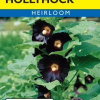 Hollyhock Black - Item #591