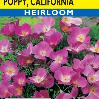 Poppy California Purple