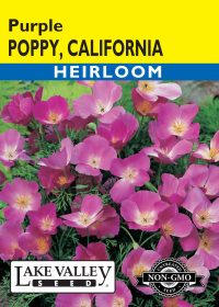 Poppy California Purple