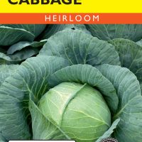 Cabbage Copenhagen Market