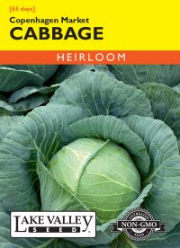 Cabbage Copenhagen Market