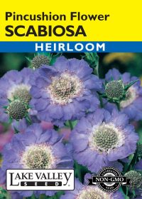 Scabiosa Pincushion - Item #603