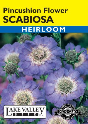 Scabiosa Pincushion - Item #603