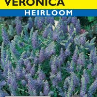 Veronica Royal Blue