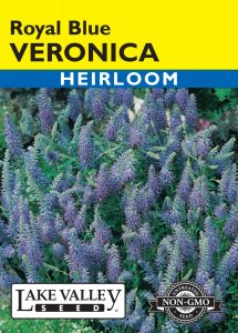 Veronica Royal Blue – Item #606