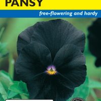 Pansy Black - Item #609