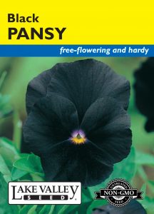 Pansy Black – Item #609