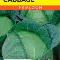 Cabbage Early Flat Dutch