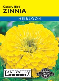 Zinnia Canary Bird