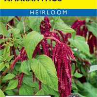 Amaranthus Love-Lies-Bleeding - Item #620