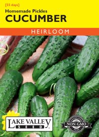 Cucumber Homemade Pickles