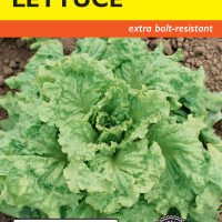 Lettuce Simpson Elite