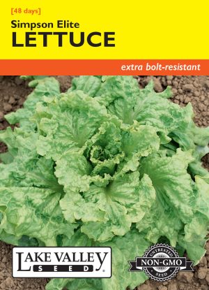 Lettuce Simpson Elite