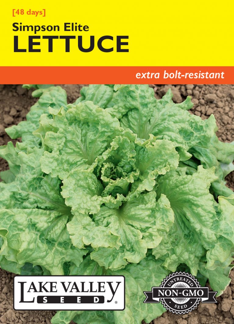 Lettuce Simpson Elite Item 623 Lake Valley Seed