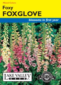 Foxglove Foxy Dwarf Mixed Colors