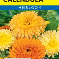 Calendula Pacific Beauty Mixed Colors