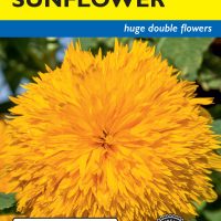 Sunflower Orange Sun Double