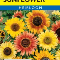 Sunflower Autumn Beauty Mixed