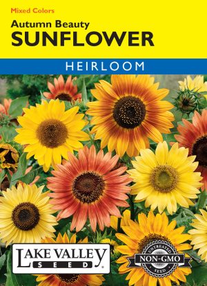Sunflower Autumn Beauty Mixed