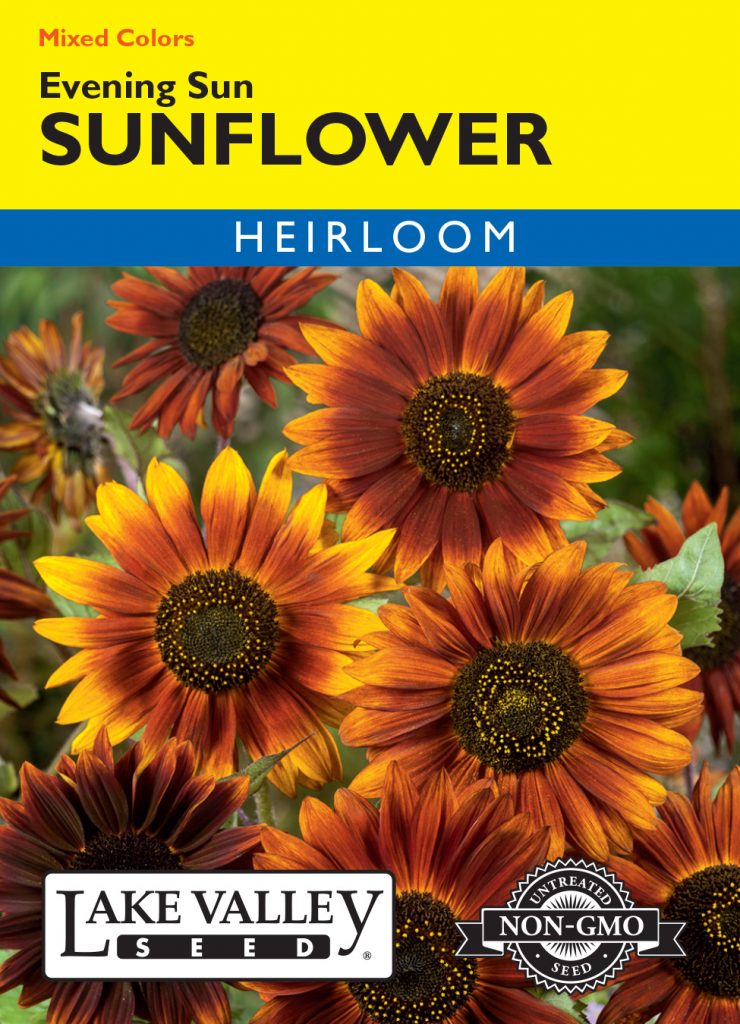 Sunflower Evening Sun Mixed Colors - Item #642 - Lake Valley Seed