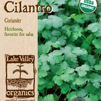 Cilantro (Coriander) - Item #650