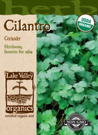 Cilantro (Coriander) - Item #650