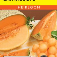 Cantaloupe Hales Best Jumbo
